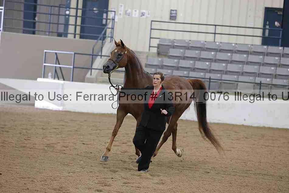 Proof 13r14_0076