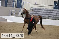 13r14_0076 proof