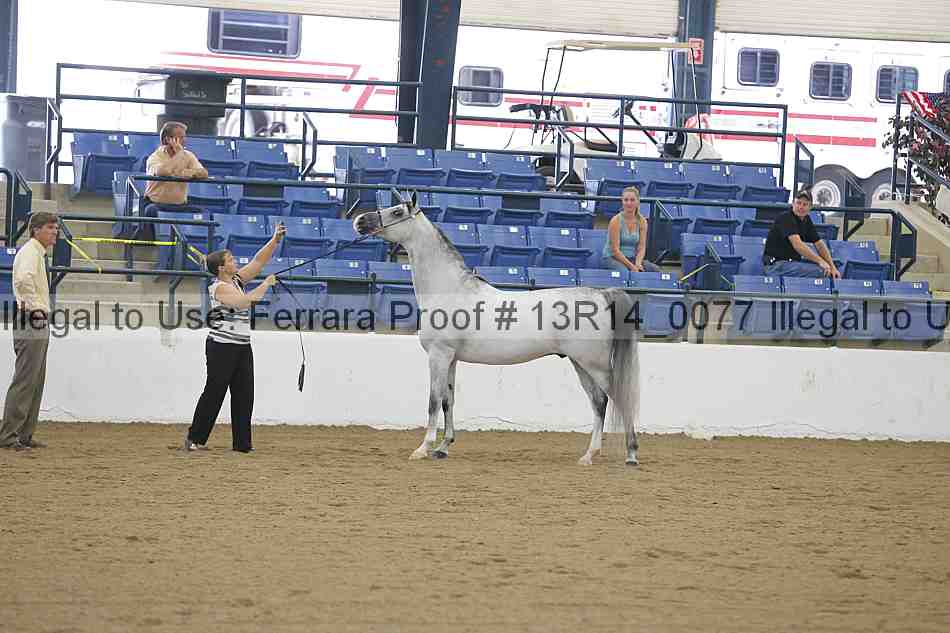 Proof 13r14_0077