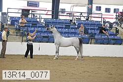 13r14_0077 proof
