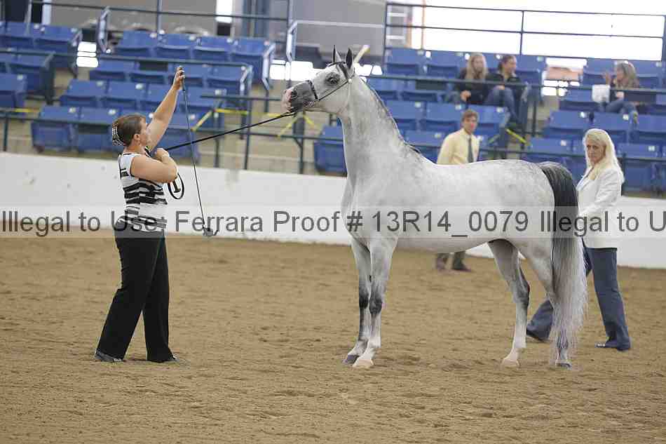 Proof 13r14_0079