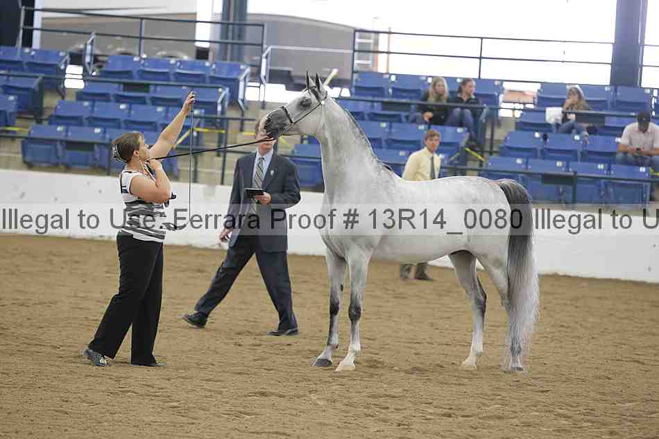 Proof 13r14_0080