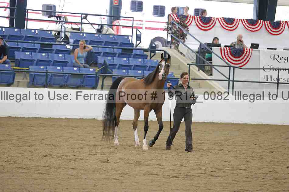 Proof 13r14_0082