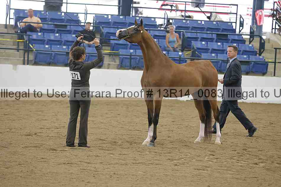 Proof 13r14_0083