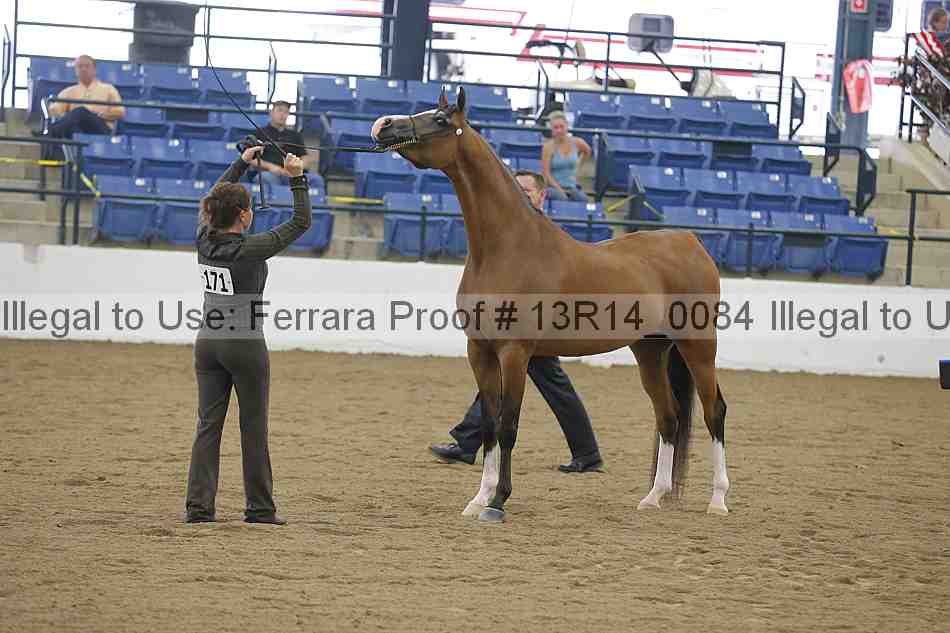 Proof 13r14_0084