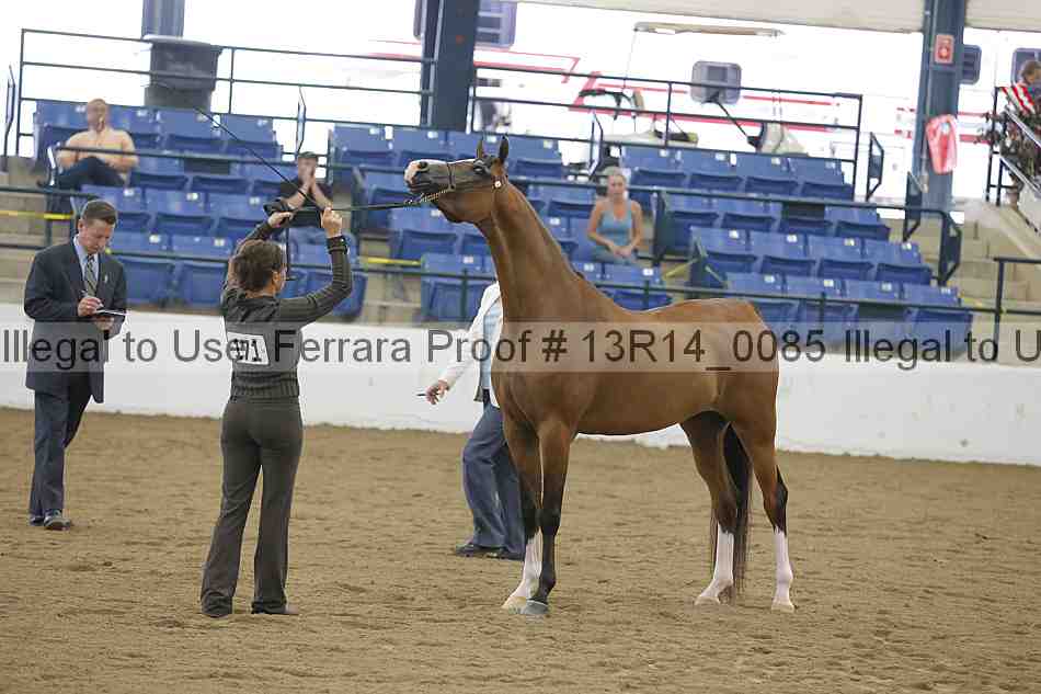 Proof 13r14_0085