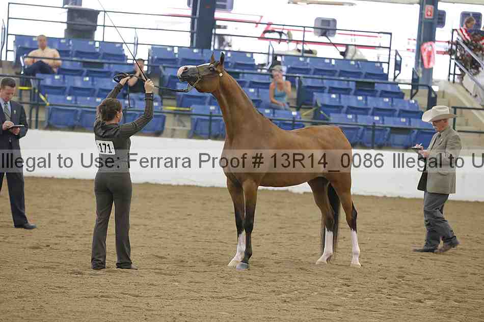 Proof 13r14_0086
