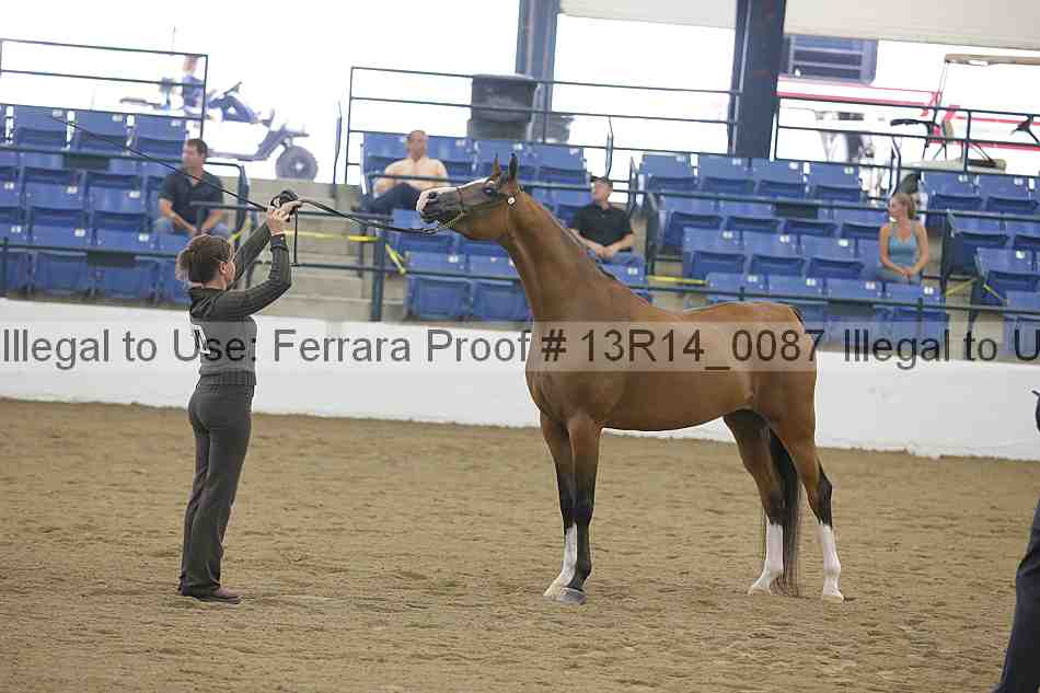 Proof 13r14_0087