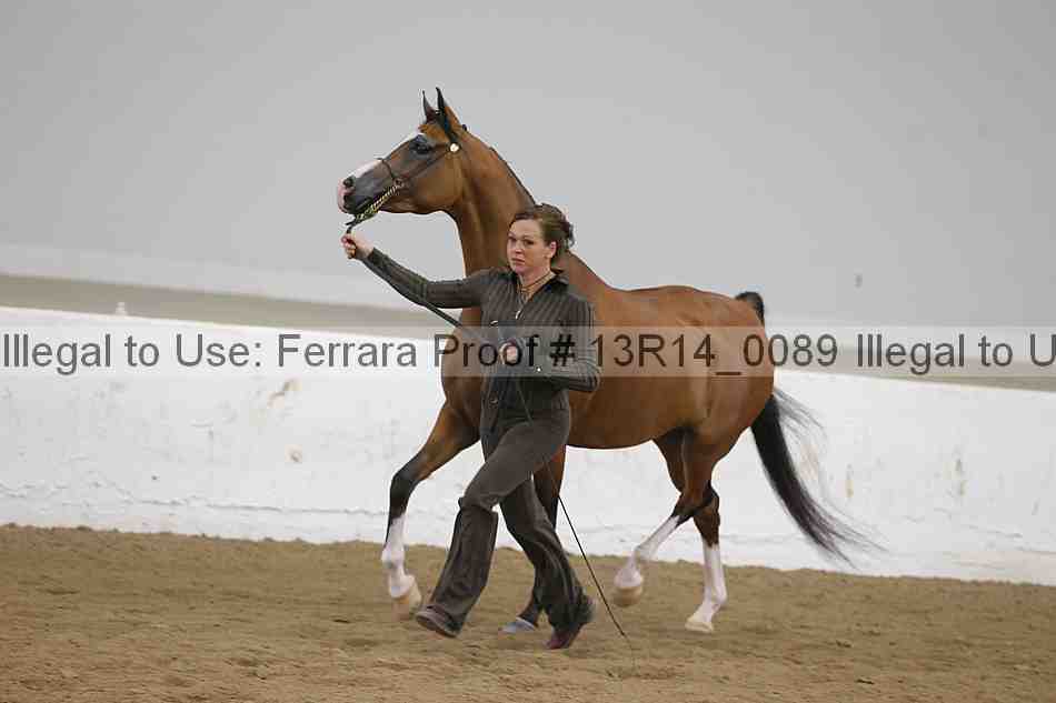 Proof 13r14_0089