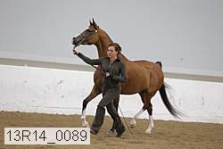 13r14_0089 proof
