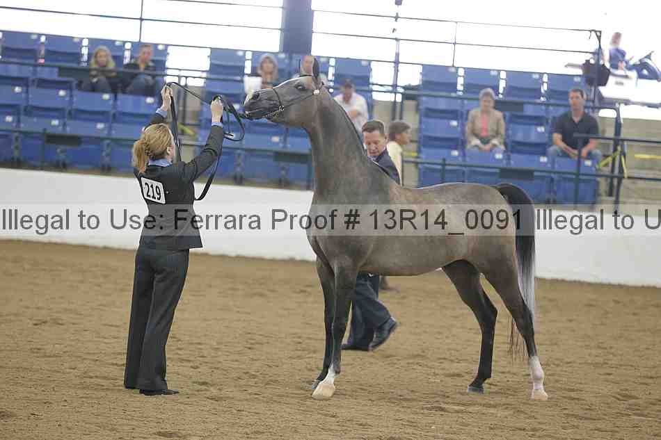Proof 13r14_0091