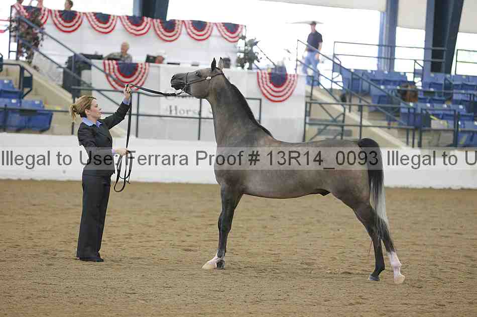 Proof 13r14_0093