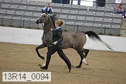 13r14_0094 proof