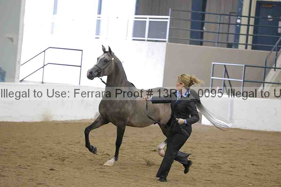 Proof 13r14_0095
