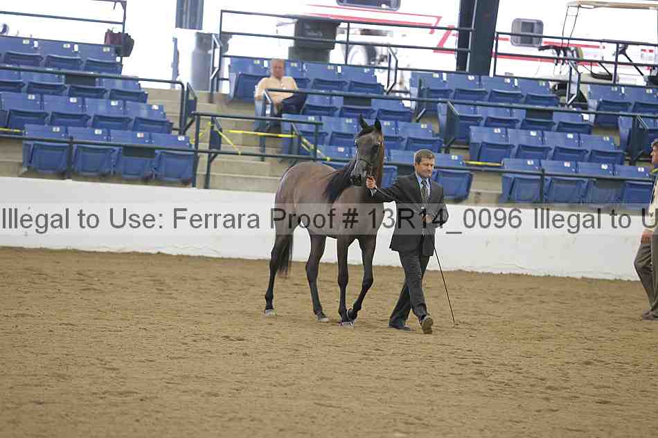 Proof 13r14_0096