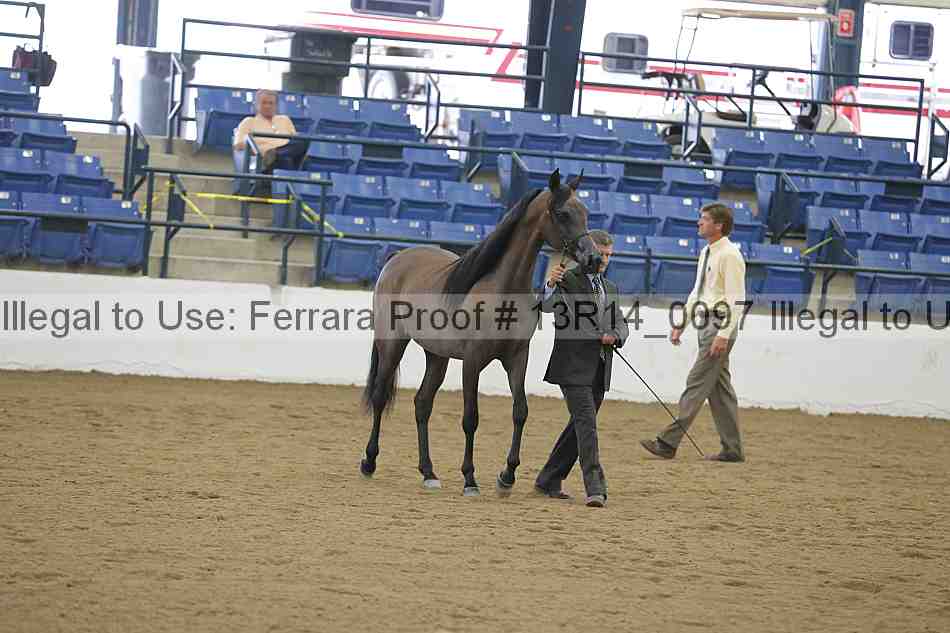 Proof 13r14_0097