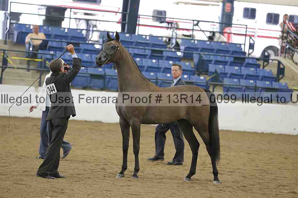 Proof 13r14_0099
