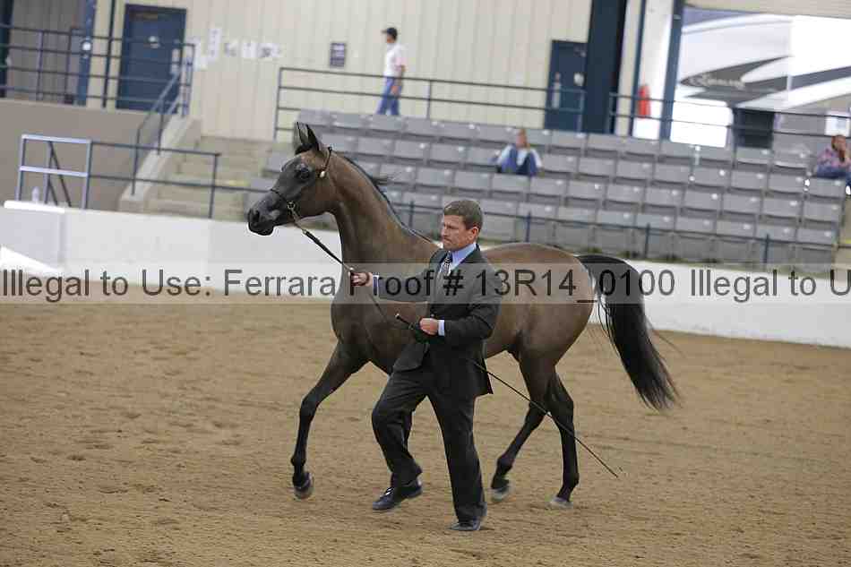 Proof 13r14_0100