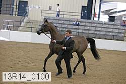 13r14_0100 proof