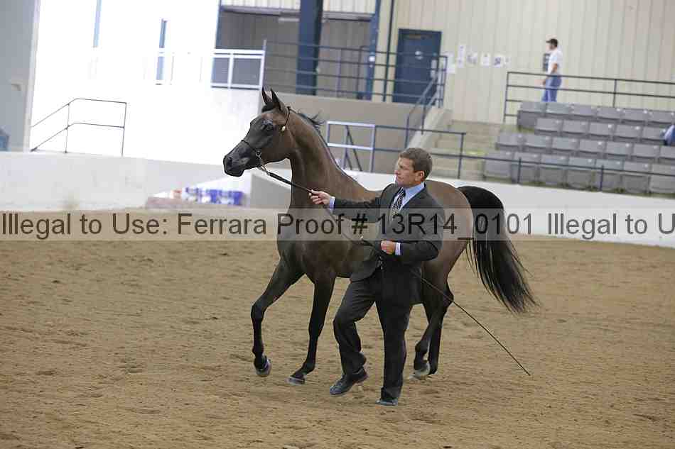 Proof 13r14_0101