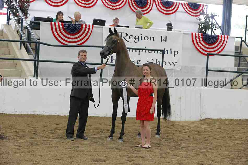 Proof 13r14_0107