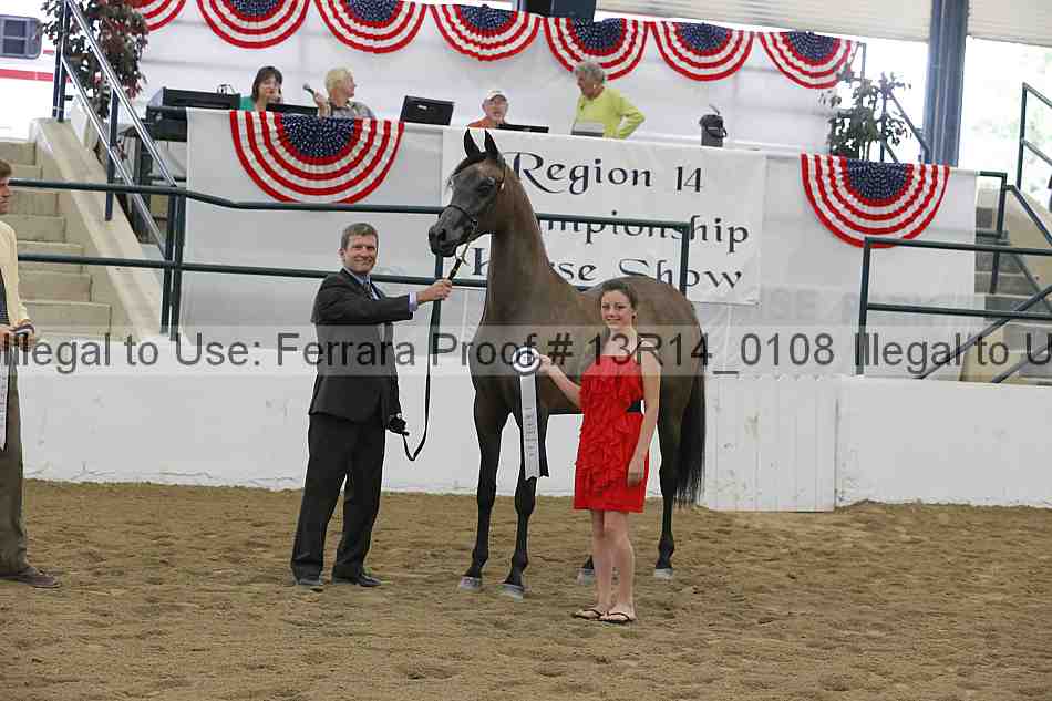 Proof 13r14_0108