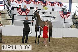 13r14_0108 proof