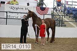 13r14_0110 proof