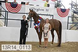 13r14_0113 proof