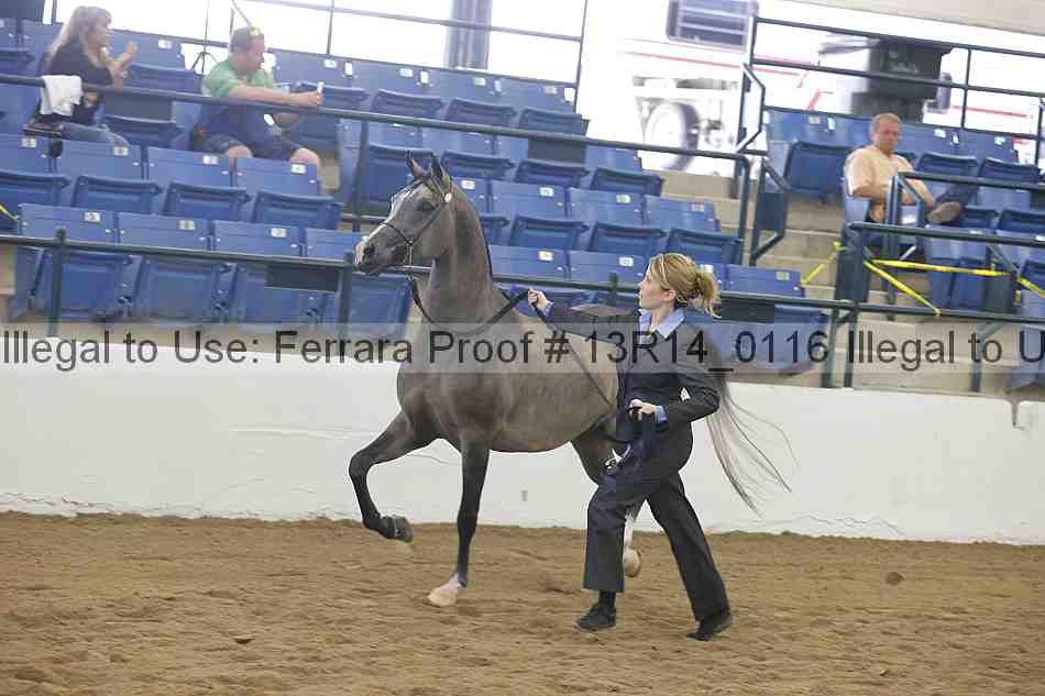 Proof 13r14_0116