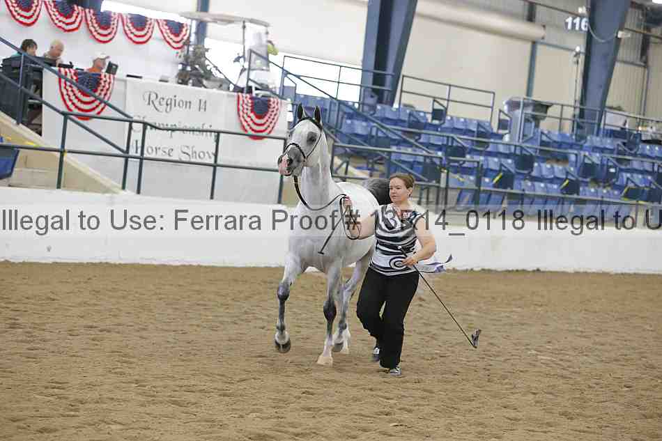Proof 13r14_0118