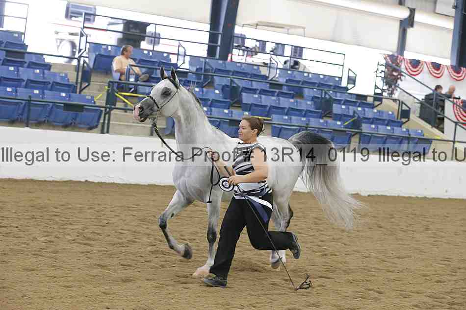 Proof 13r14_0119
