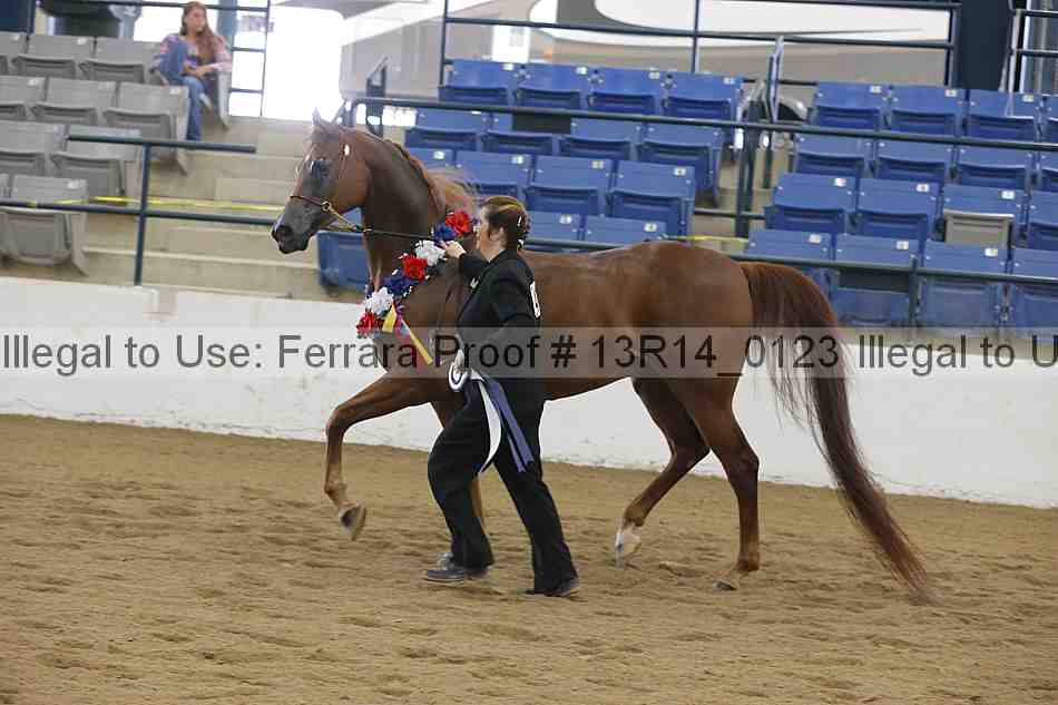 Proof 13r14_0123
