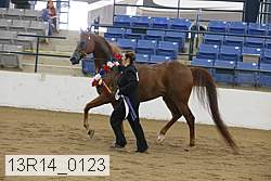 13r14_0123 proof