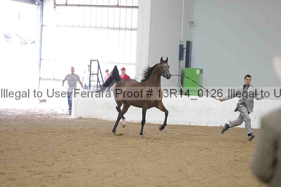 Proof 13r14_0126