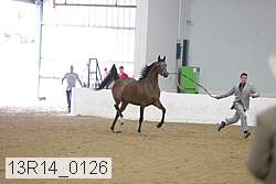 13r14_0126 proof