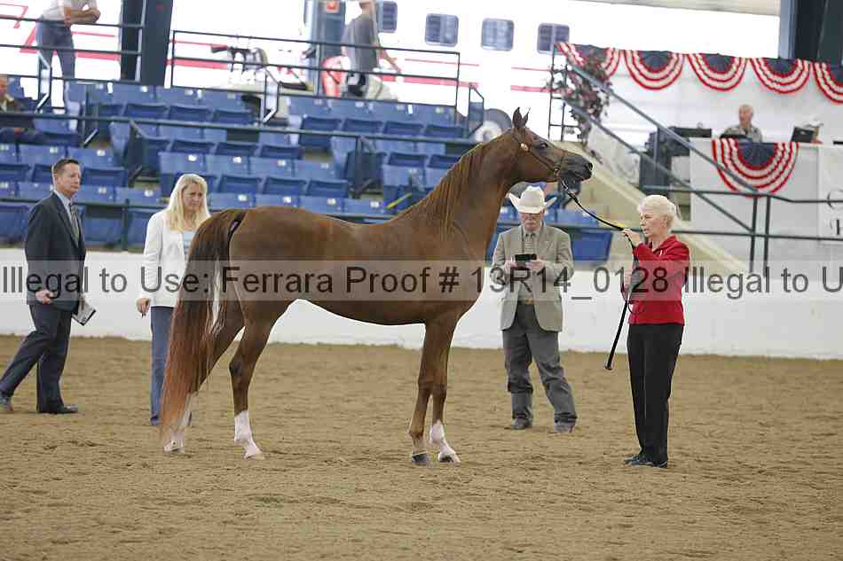 Proof 13r14_0128