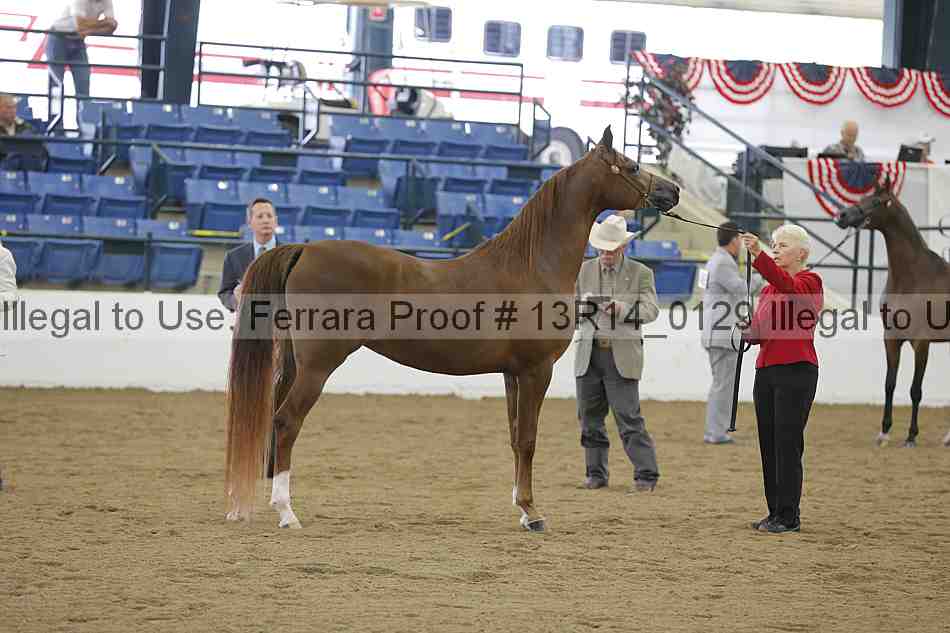 Proof 13r14_0129