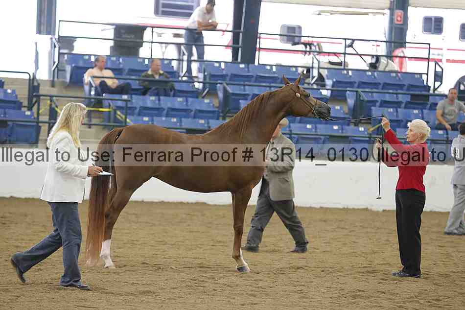 Proof 13r14_0130
