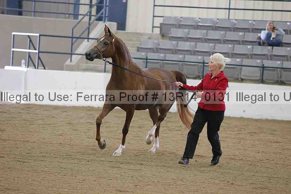 Proof 13r14_0131