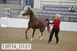 13r14_0131 proof