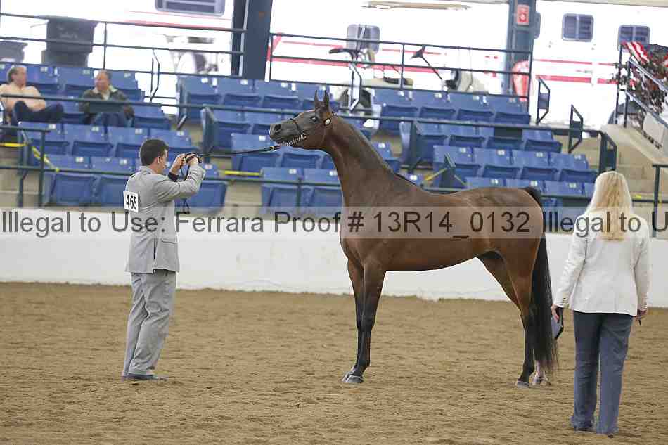 Proof 13r14_0132