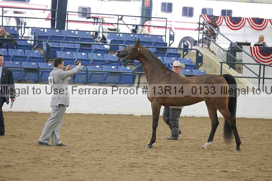 Proof 13r14_0133
