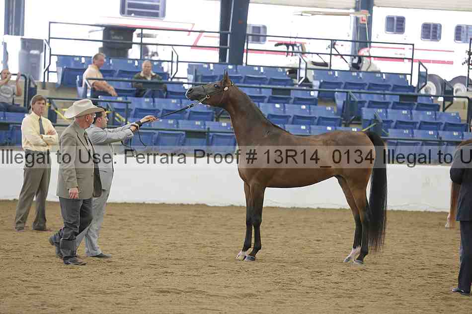 Proof 13r14_0134