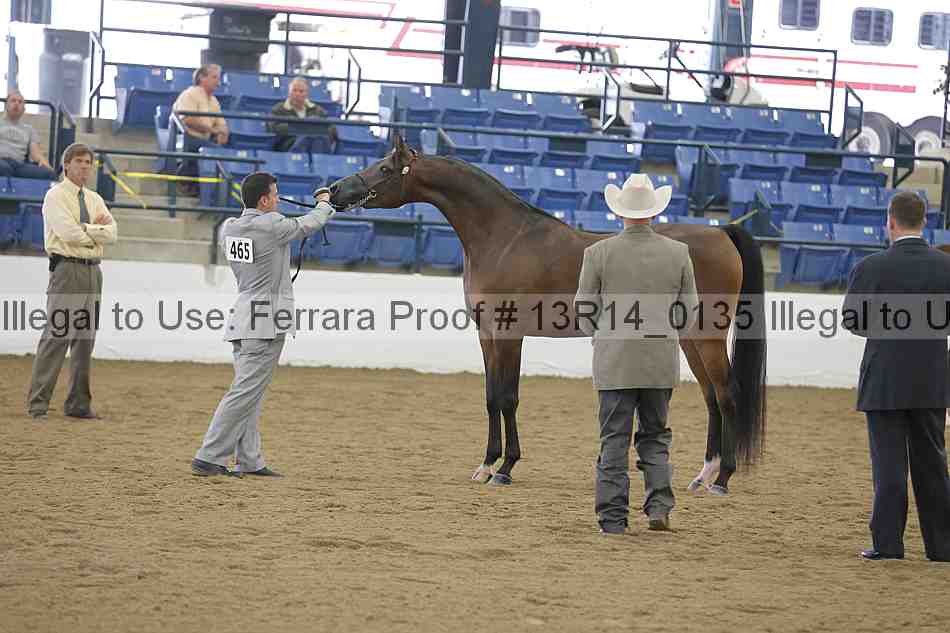 Proof 13r14_0135