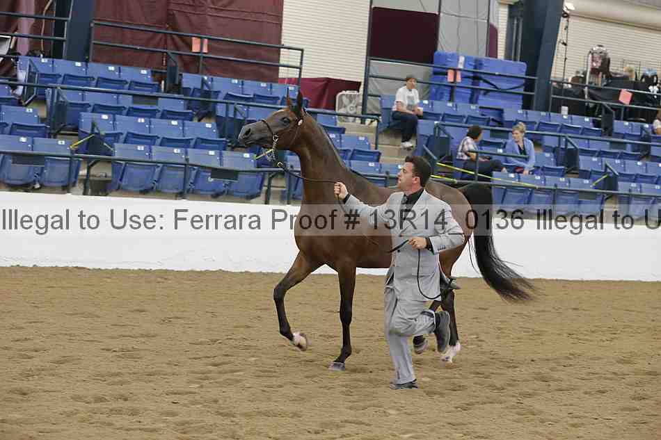 Proof 13r14_0136