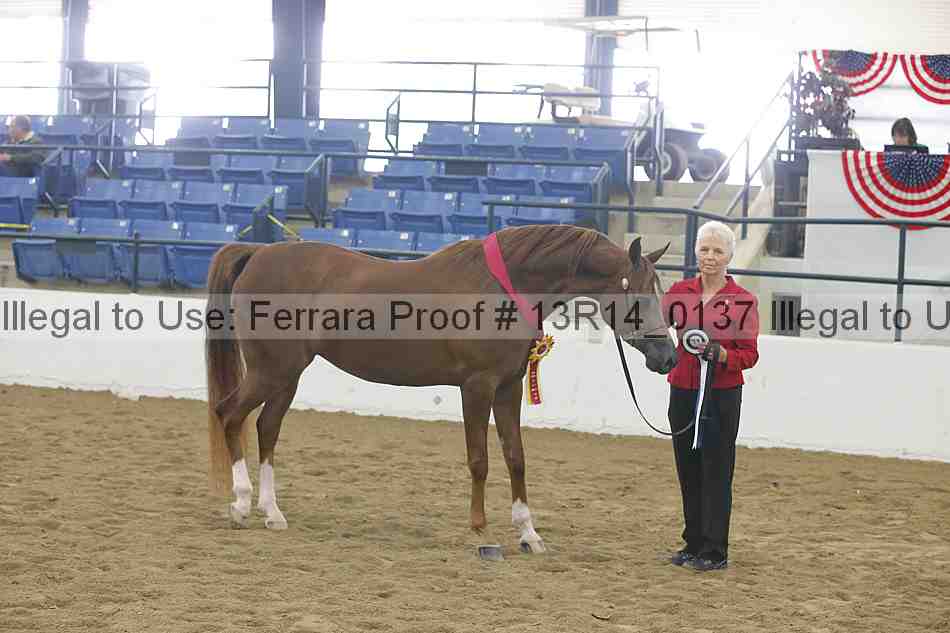 Proof 13r14_0137