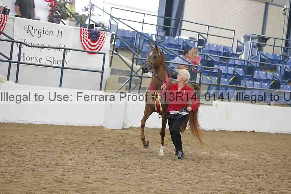 Proof 13r14_0141