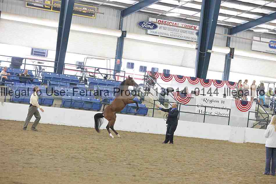 Proof 13r14_0144