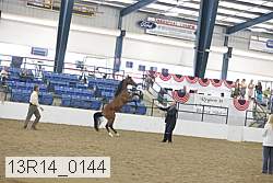 13r14_0144 proof